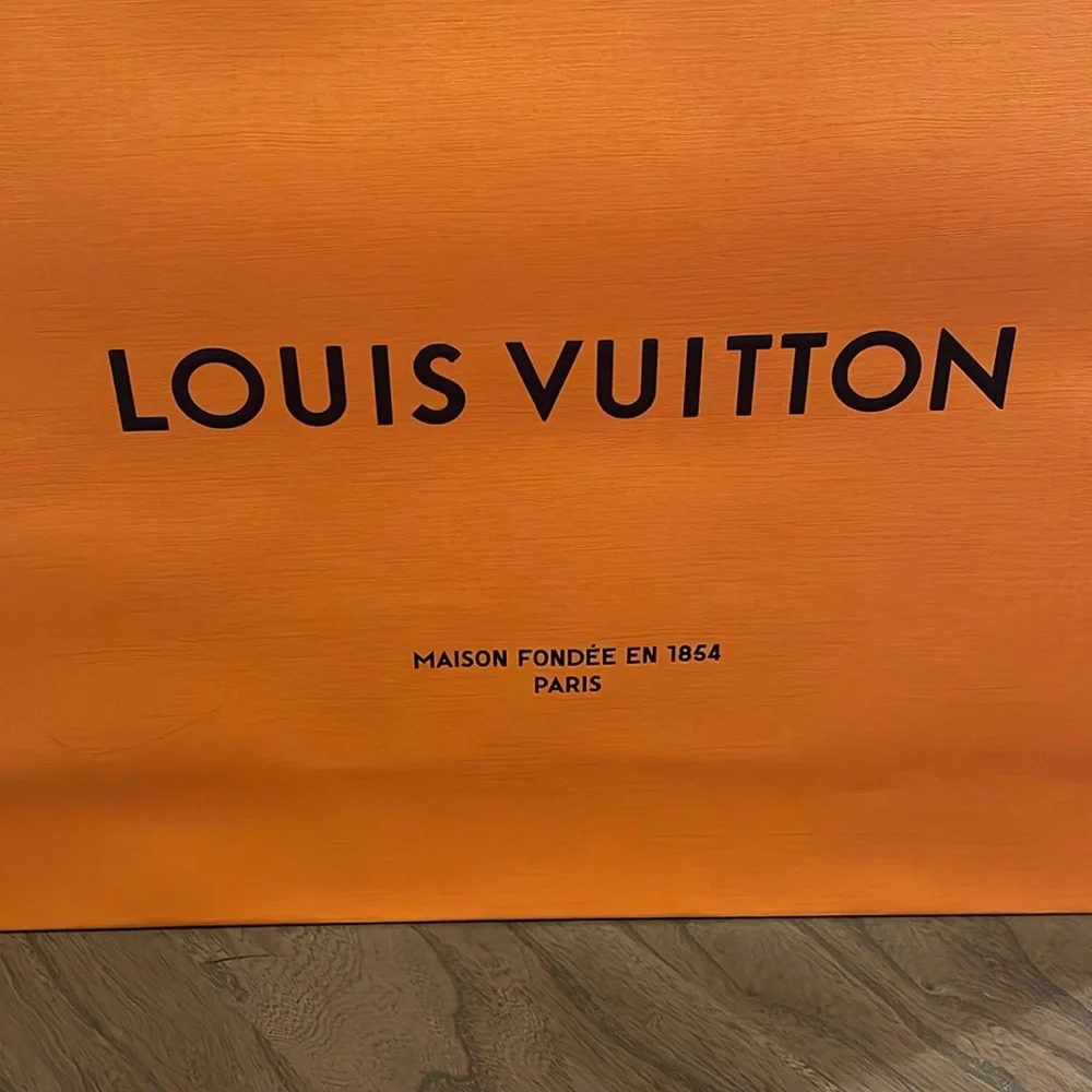 Louis Vuitton Gift Bag